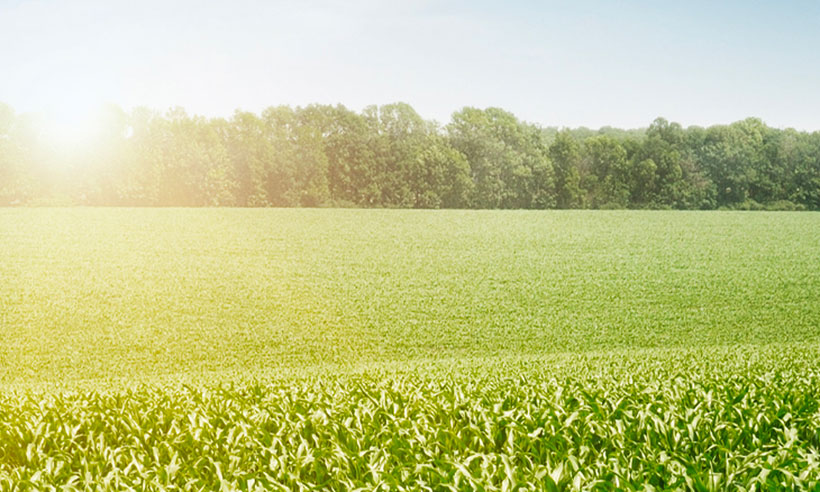 Alternative Facts: How Alternative Asset Classes Are Improving Portfolios Alternative Facts: How Alternative Asset Classes Are Improving Portfolios
